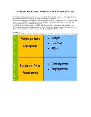 Diferencia entre criptógamas y fanerógamas