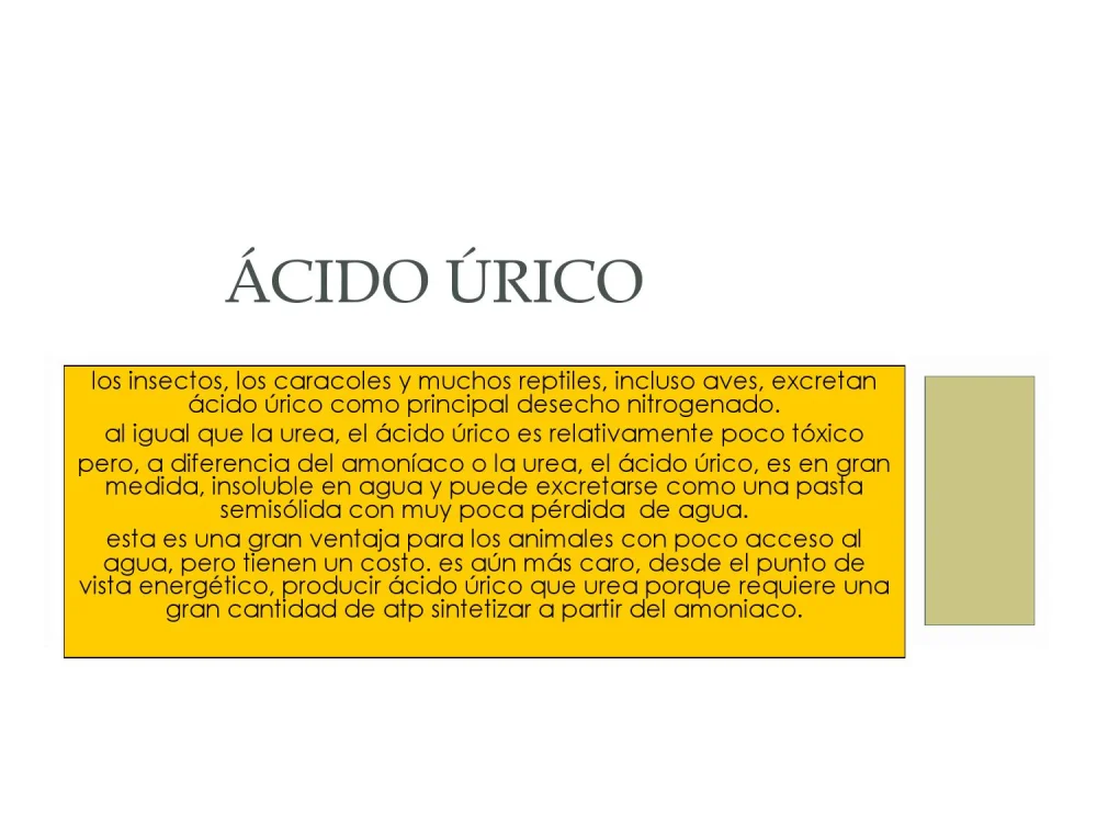 Diferencia entre el ácido úrico y la urea