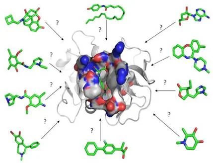 Diferencia entre el acoplamiento molecular y la dinámica molecular