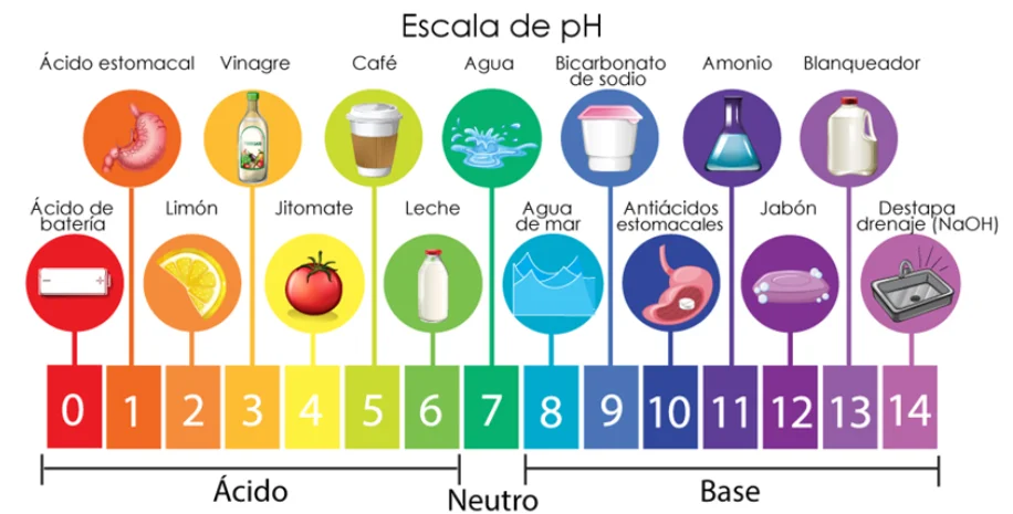 Diferencia entre el agua alcalina y el agua hidrogenada