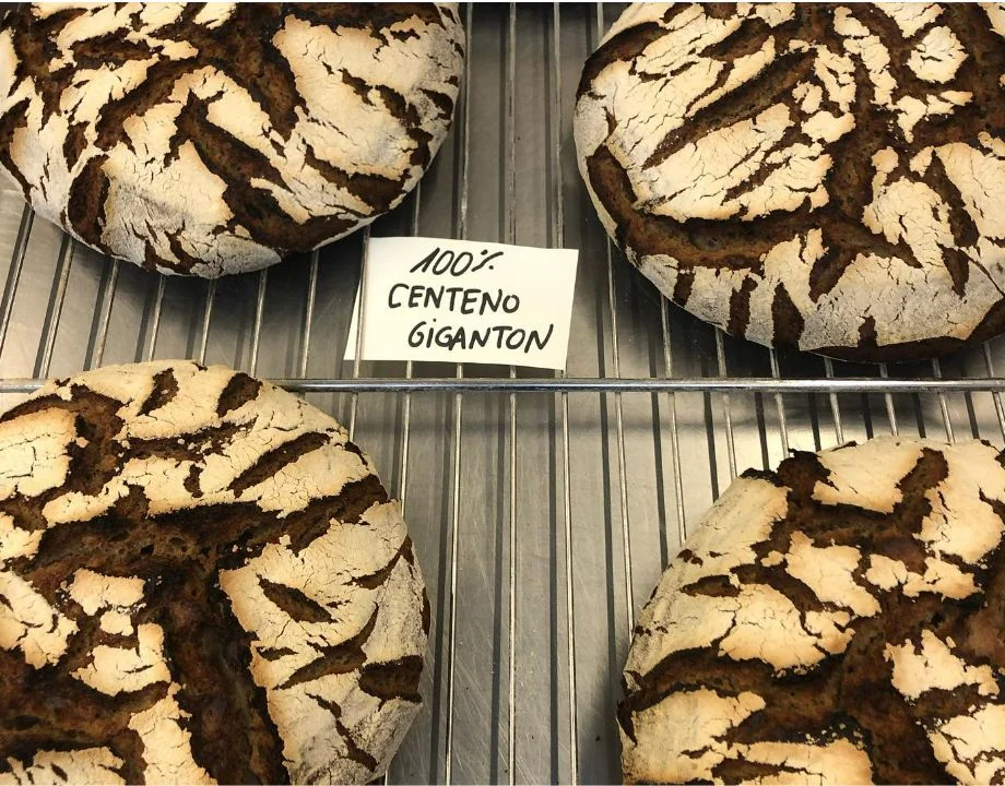 Diferencia entre el pan de centeno y el pan de centeno