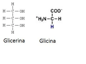 Diferencia entre glicina y glicerina