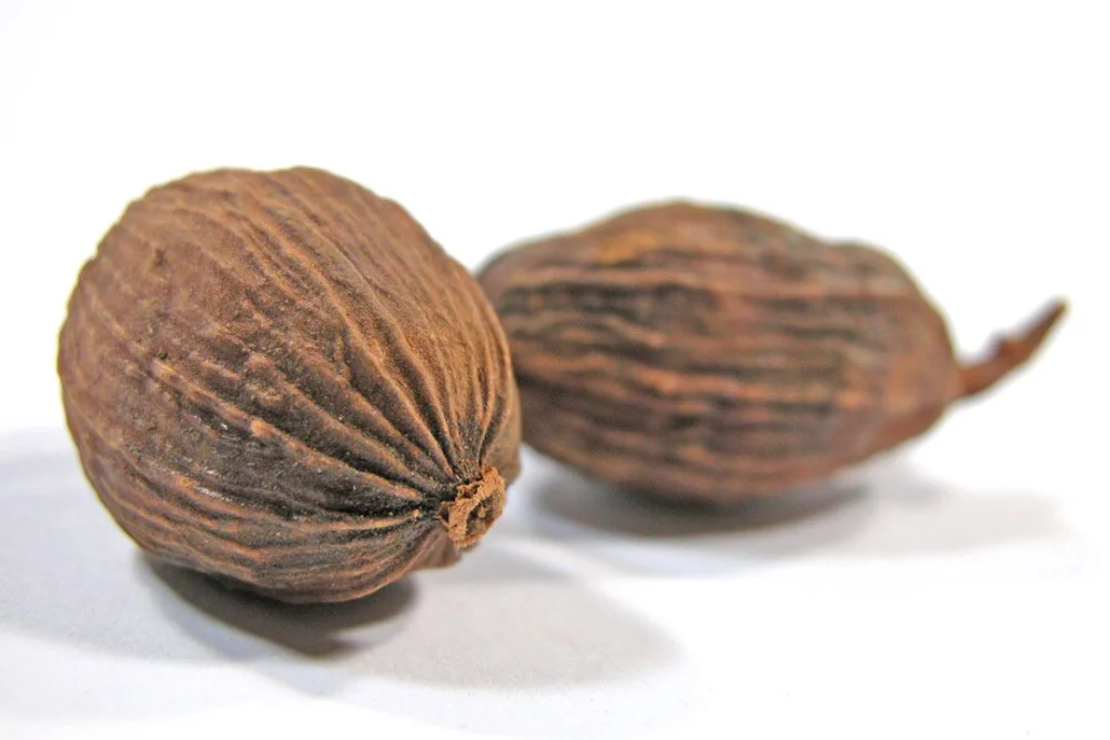 Diferencia entre la macis y la nuez moscada