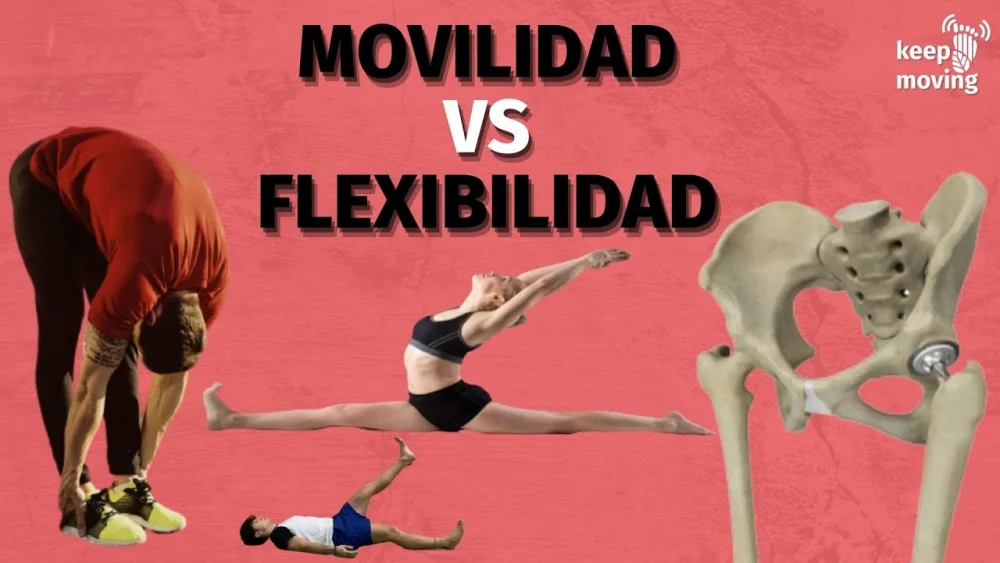 Diferencia entre movilidad y flexibilidad