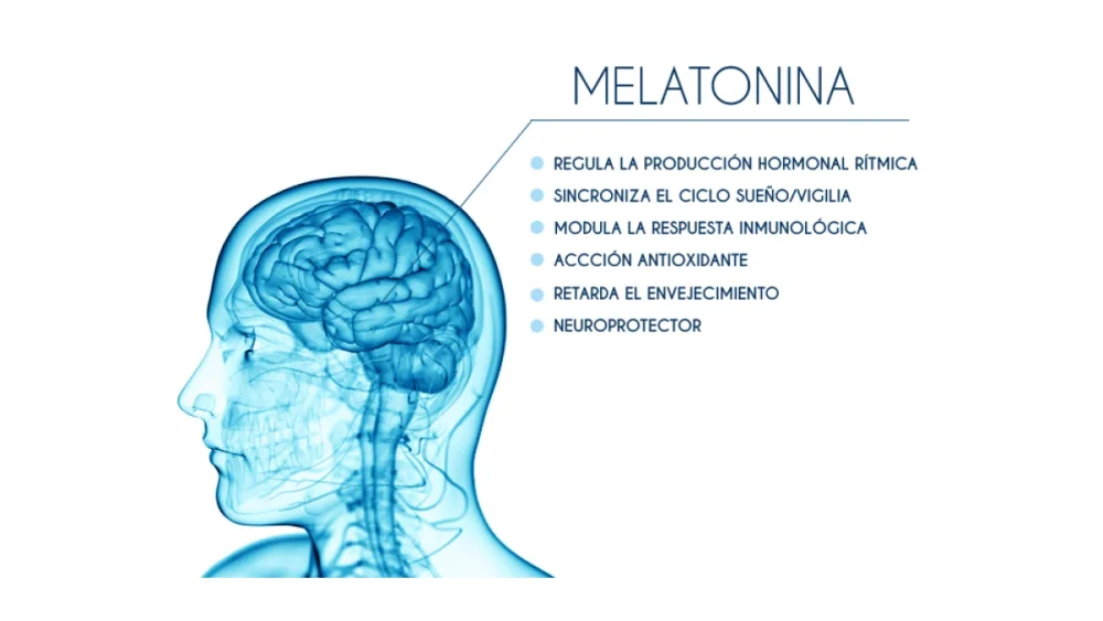 Diferencia entre MSH y melatonina