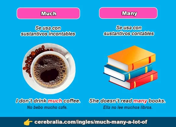 Diferencia entre Much y Many