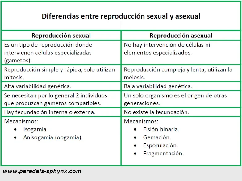 Diferencia entre reproducción sexual y asexual