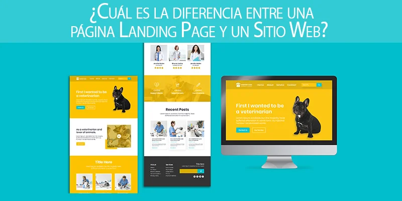 Diferencia entre una página de destino y un sitio web