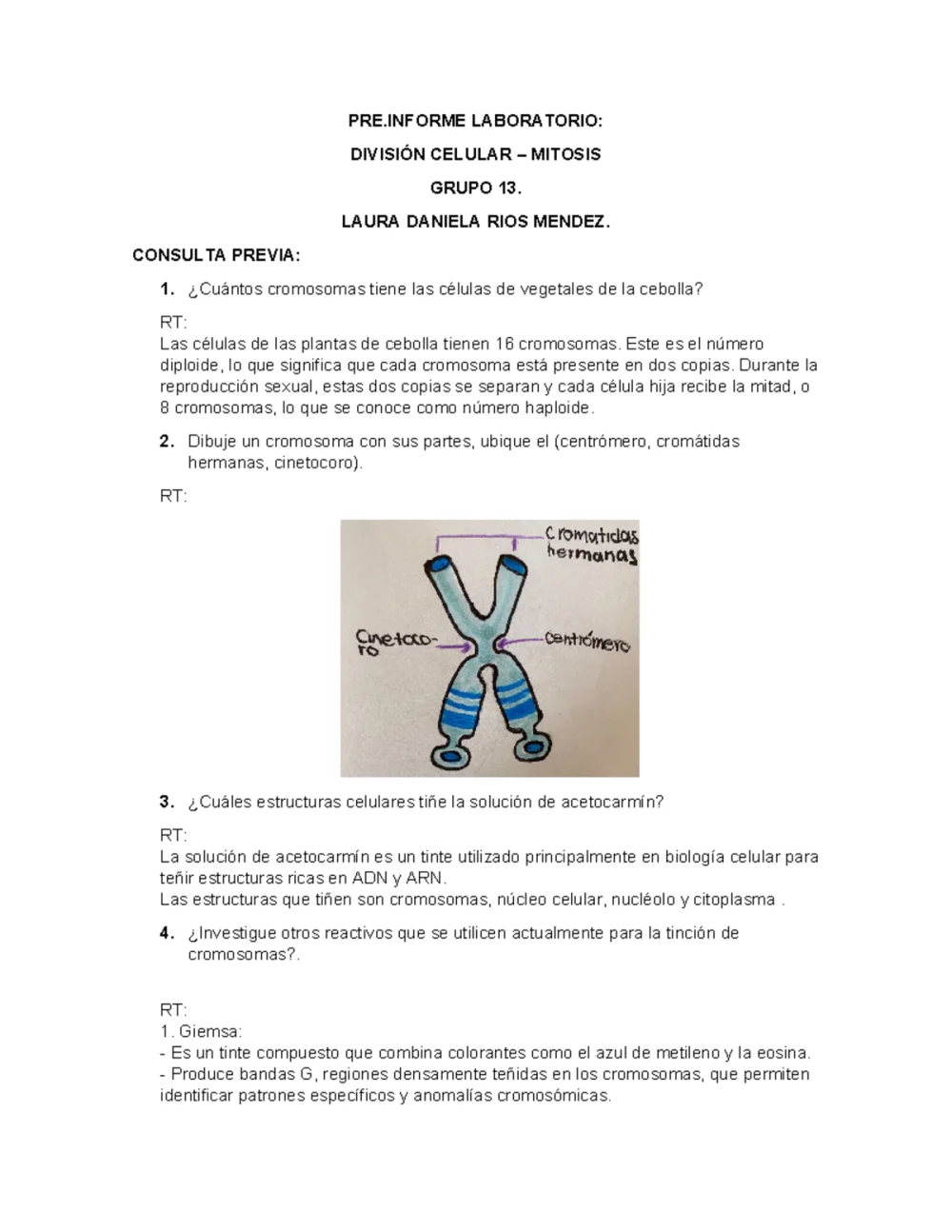 ¿Por qué se utiliza acetocarmín en los estudios de cromosomas mitóticos?