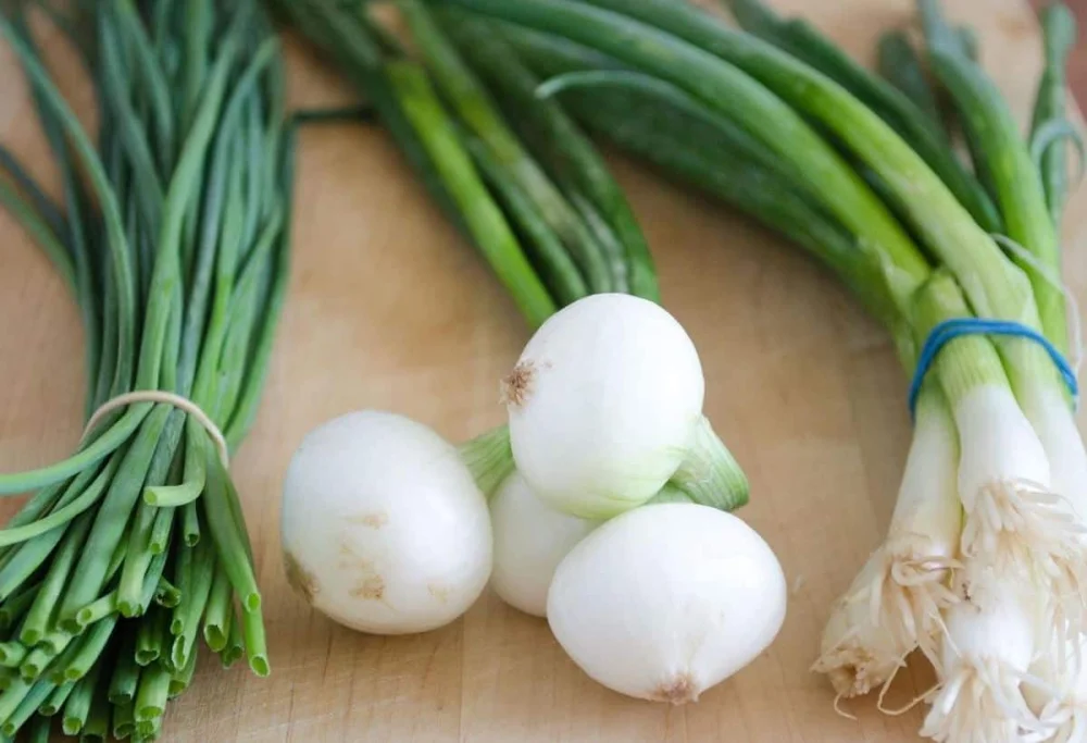 Diferencia entre cebolletas y cebollas verdes