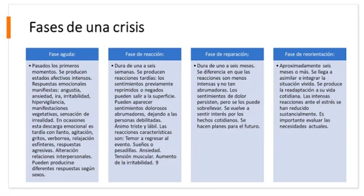 Diferencia entre crisis nerviosa y crisis mental