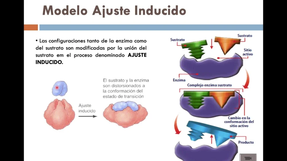 Diferencia entre el ajuste inducido y el bloqueo y la llave