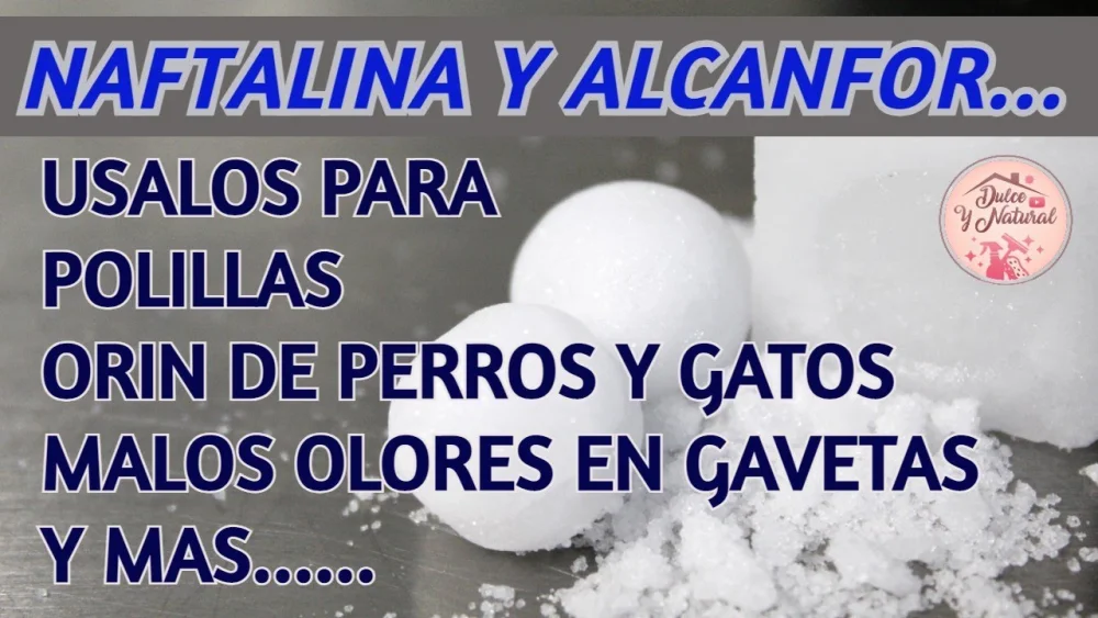 Diferencia entre el alcanfor y el naftaleno