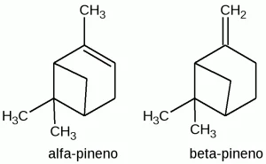 Diferencia entre el alfa y el beta pineno