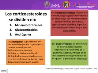 Diferencia entre glucocorticoides y mineralocorticoides