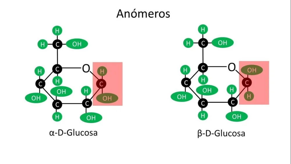 Diferencia entre glucosa alfa y beta
