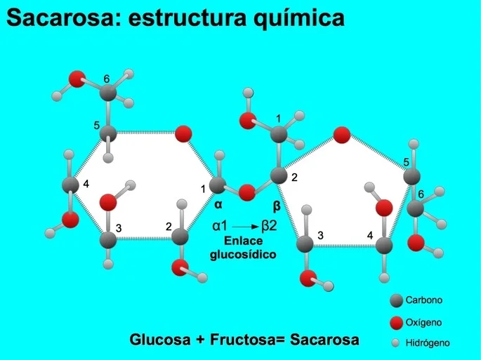 Diferencia entre glucosa y sacarosa