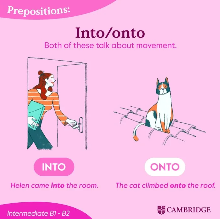 Diferencia entre Into y In To