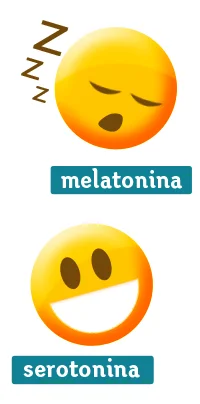 Diferencia entre la melatonina y la serotonina