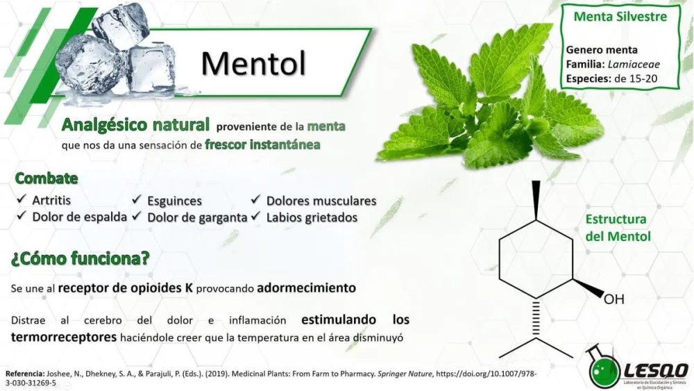 Diferencia entre la menta y el mentol