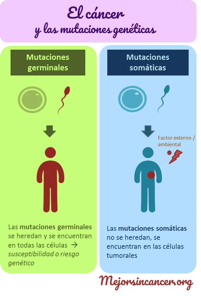 Diferencia entre mutación germinal y somática