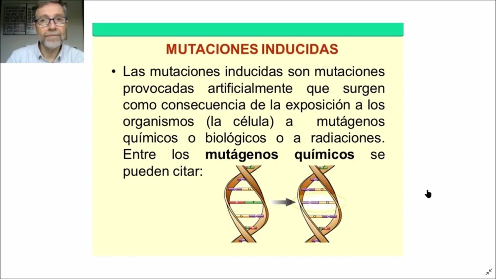 Diferencia entre mutación inducida y espontánea