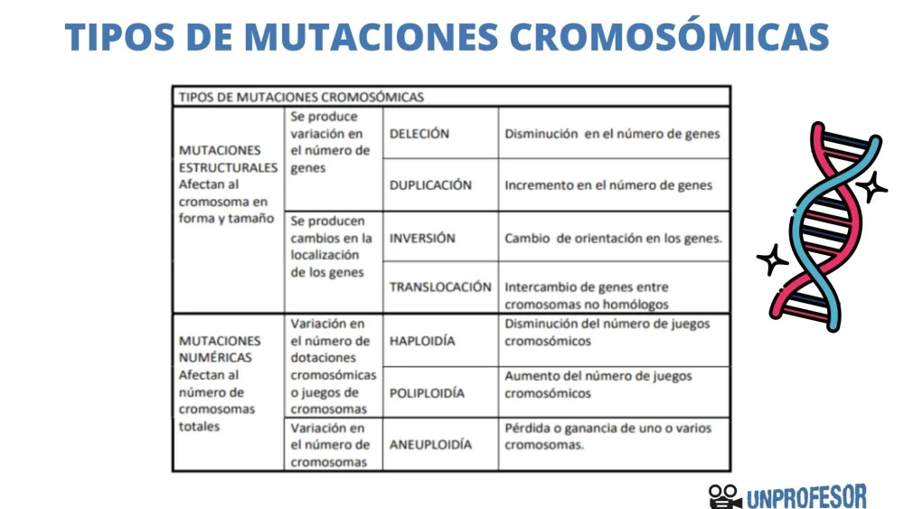 Diferencia entre mutación y aberración cromosómica