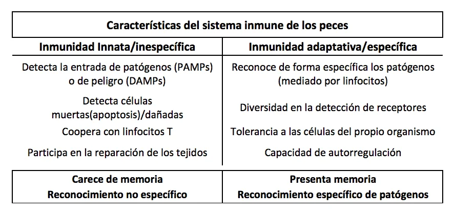 Diferencia entre respuesta inmunitaria específica y no específica