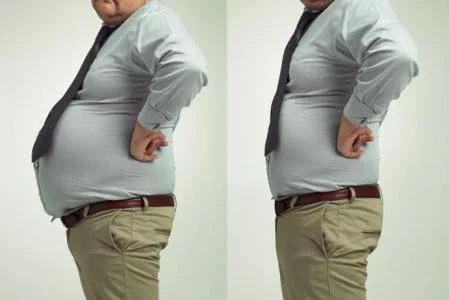 Diferencia entre gordo y grueso
