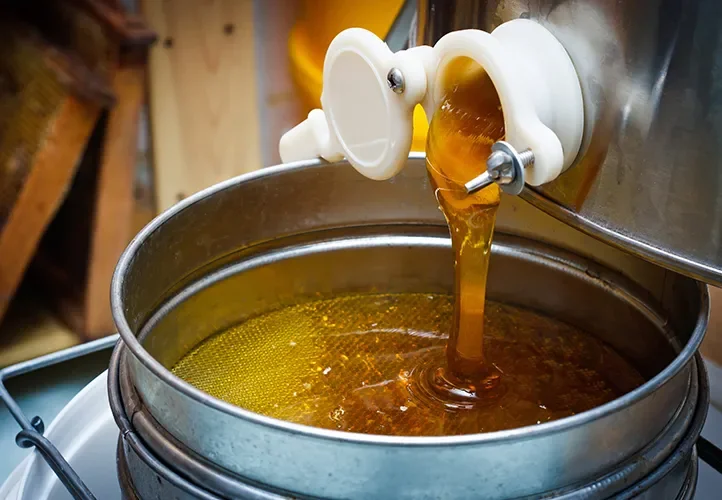 Diferencia entre la miel de Manuka y la de Jarrah