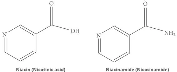 Diferencia entre la niacinamida y la niacina