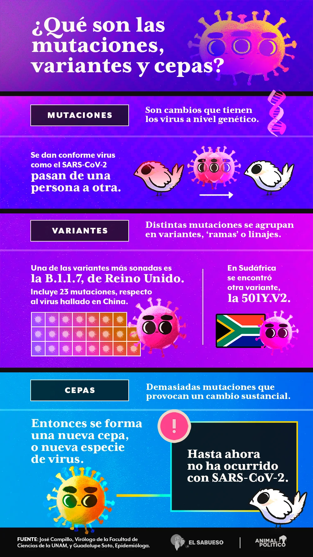 Diferencia entre mutación y variación