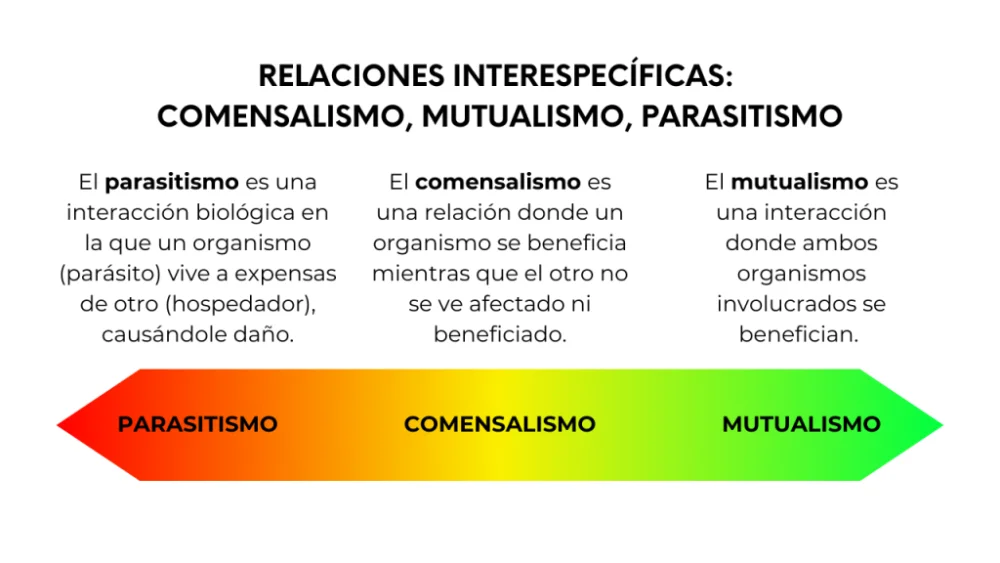 Diferencia entre mutualismo y parasitismo