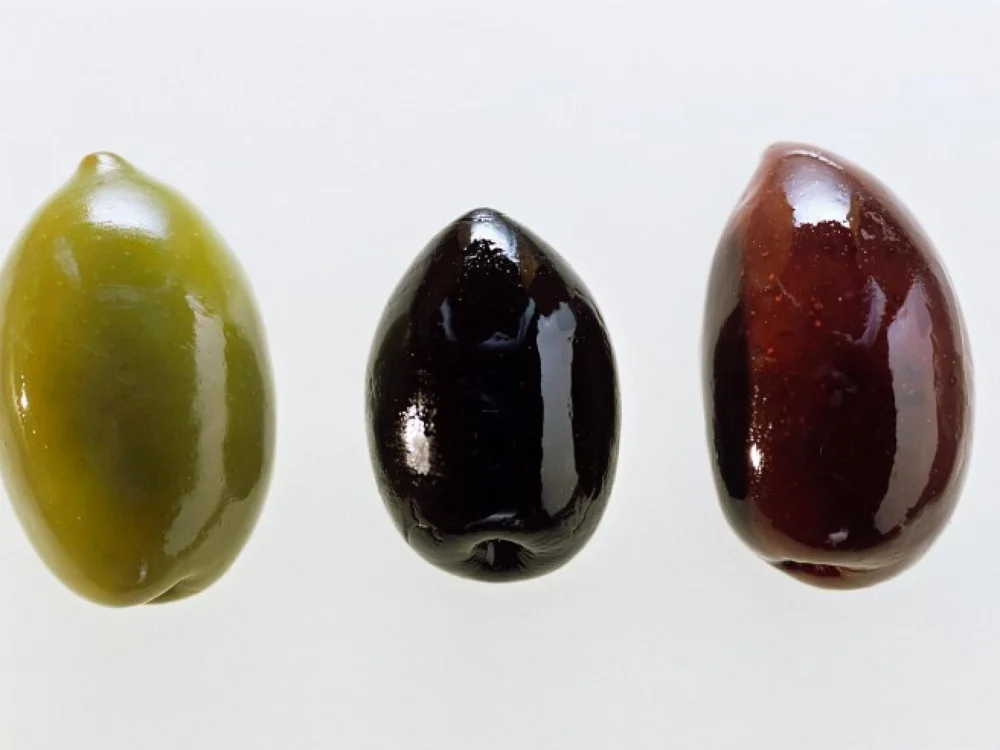 Diferencia entre aceitunas negras y verdes Estilo de vida