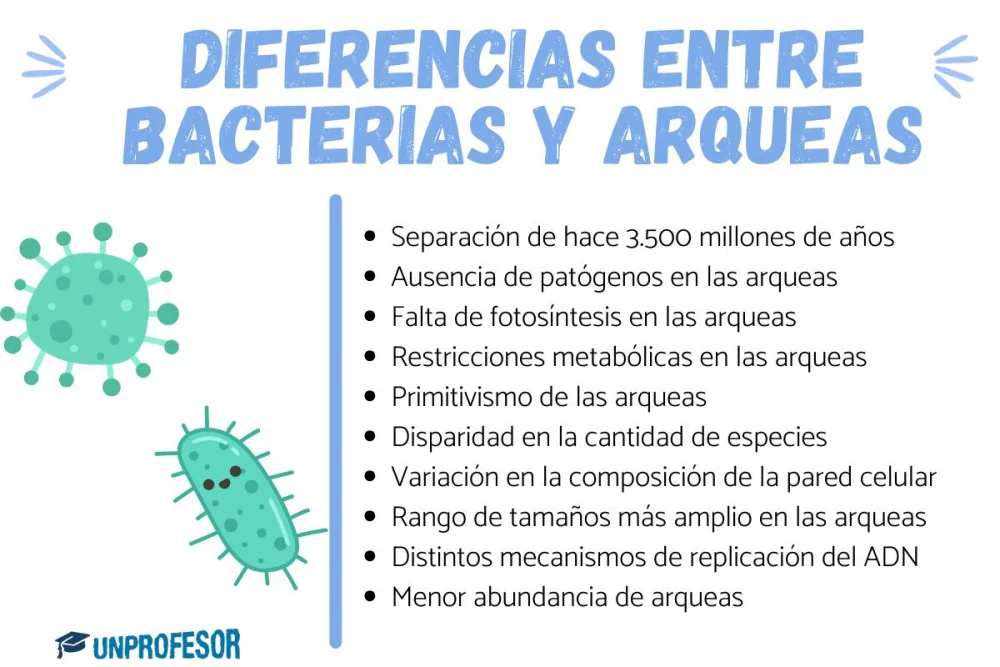 Diferencia entre arqueas y bacterias