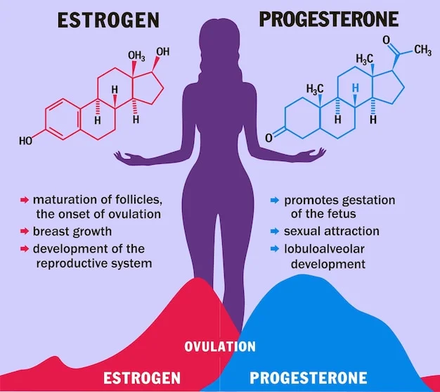 Diferencia entre estrógeno y progesterona
