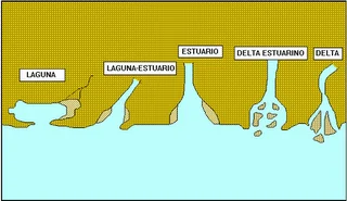 Diferencia entre estuario y laguna