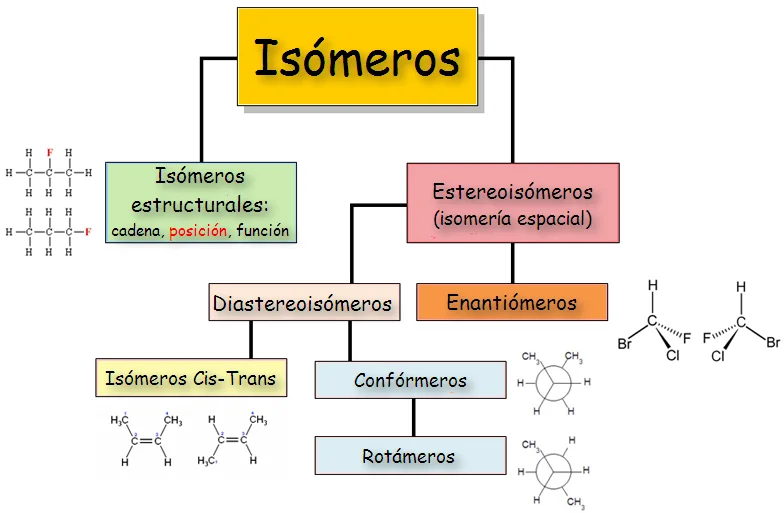 Diferencia entre isómeros geométricos y estructurales
