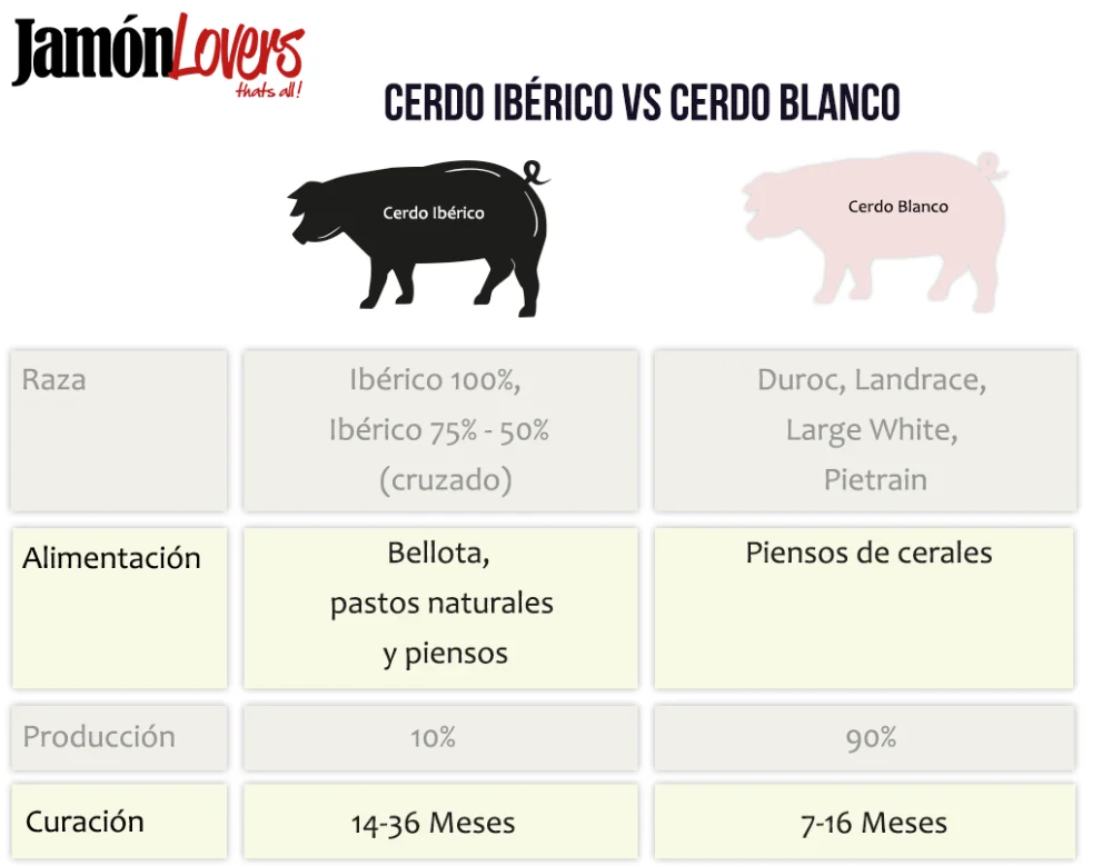 Diferencia entre jamón y jamón