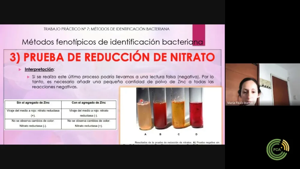 Diferencia entre la nitrato reductasa y la nitrito reductasa