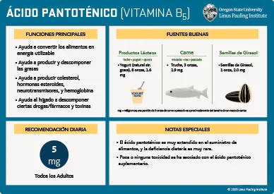 Diferencia entre la pantetina y el ácido pantoténico