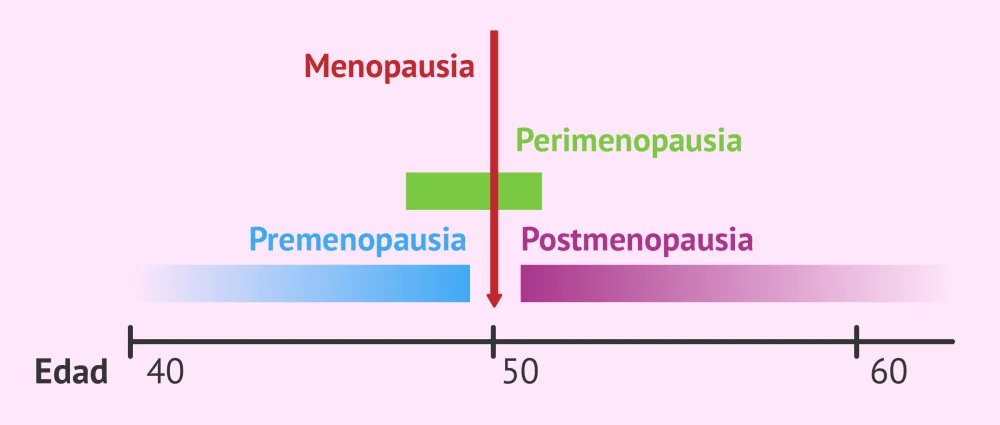 Diferencia entre la perimenopausia y la menopausia