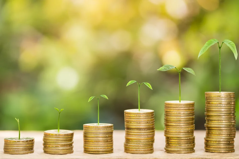 Diferencia entre riqueza y prosperidad
