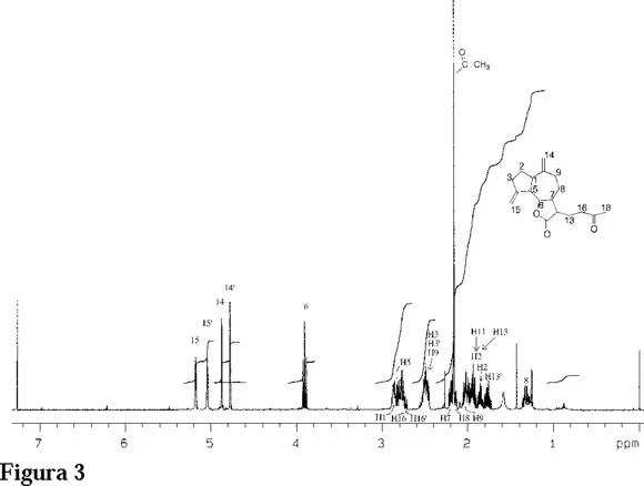 Diferencia entre RMN de 1H y RMN de 13C