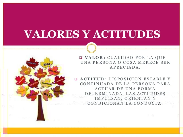 Diferencia entre valores y actitudes