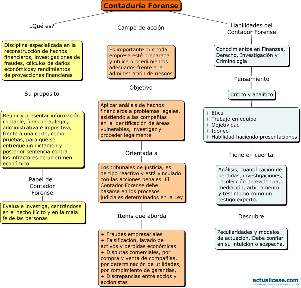 ¿Qué es la contabilidad forense?