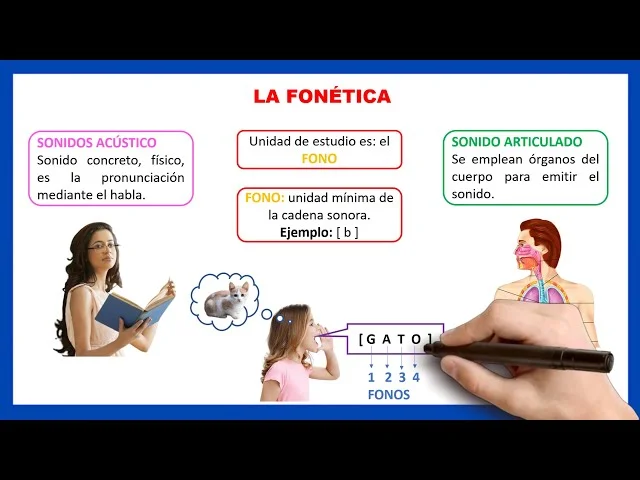 Diferencia entre articulación y fonología