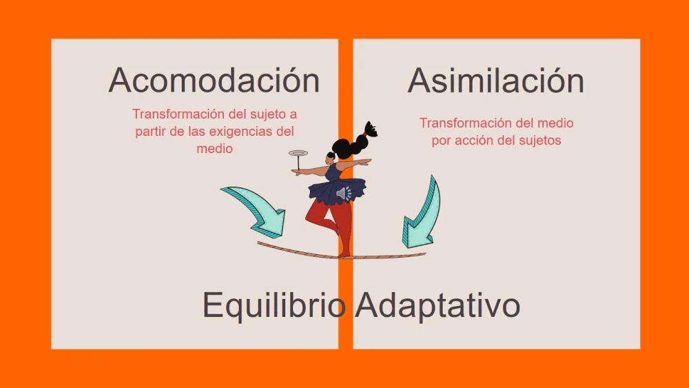 Diferencia entre asimilación y acomodación