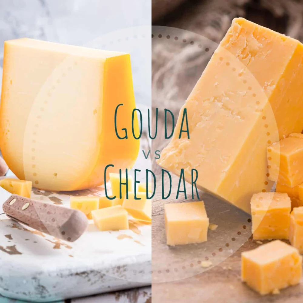 Diferencia entre el queso cheddar y el gouda