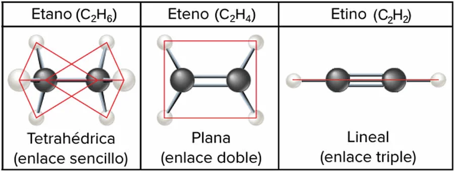 Diferencia entre eteno y etino